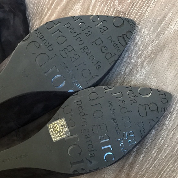 Pedro Garcia - Picture 14 of 17